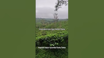 PERGI SULIT BERTAHAN SAKIT ( RANI RUN X LAIN KOPLO X
