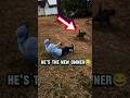 Dogs Dragging Their Owners#dog #shorts