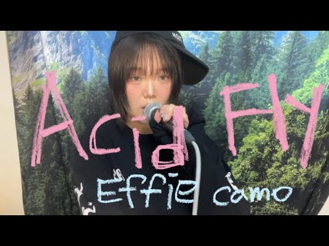 Acid Fly (feat. CAMO) - Effie Cover #힙합플리 #effie #acid #camo 