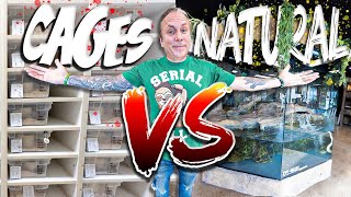 WHY I CHANGED THE WAY I KEEP REPTILES?? | BRIAN BARCZYK