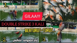 MANCING HARIAN BAWAL TERDAHSYAT DAN TERHEBOH SEPANJANG SEJARAH!!! @riyanhidayat9848