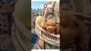 ,🦫#FunnyAnimals 😂#BalloonPrank 🎈#NaughtyMonkey 😜#AnimalComedy 🐾#ViralAnimalVideo🦫
