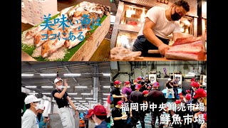 福岡市中央卸売市場 鮮魚市場 美味い魚はココにある Youtube