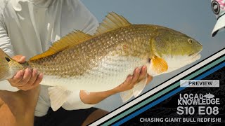Chasing Giant Bull Redfish in Venice! | S10:E8 Episode Preview