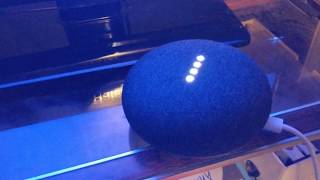 Google home mini "let me holla at ya" Easter egg Wealth