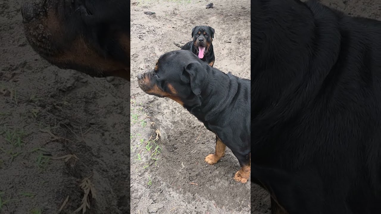 The  not so secret hiding place.    