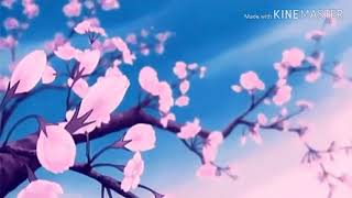 -İti̇razim Var- Fanmade Video By Lades Enez