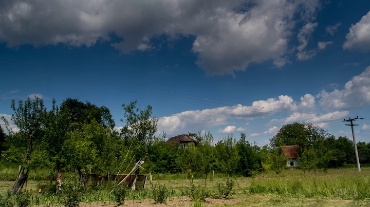 TimeLapse 4k - One summer day in my garden