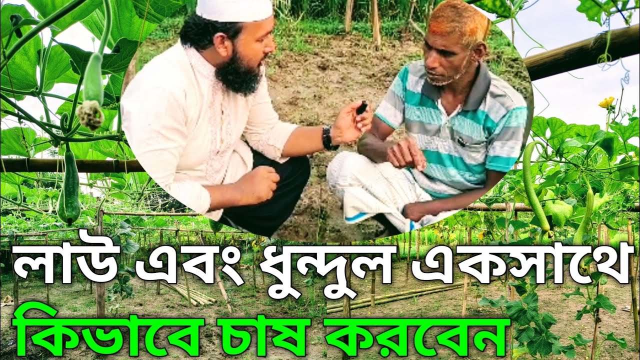 🌱 ৬ শতাংশ জমিতে লাউ ও ধুন্দুল চাষে ১৬ হাজার টাকা আয় | লাভজনক সবজি চাষের পদ্ধতি 