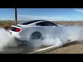 Shelby BurnOut! GT350 Voodoo 5.2