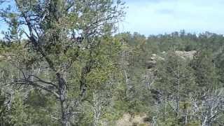 Hells Gate Wilderness Looking for Big Foot