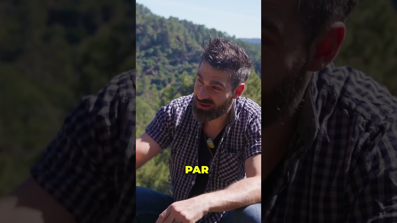 Quand un navigateur découvre une île et sème le chaos #shorts