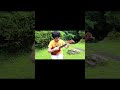 やさしさに包まれたなら/ソロウクレレ