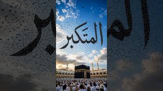 🕊️ Thousands of birds soar across the sky