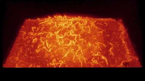 Optogenetic stimulation of ruffling in an RPE-1 cell - Dr Arumugma