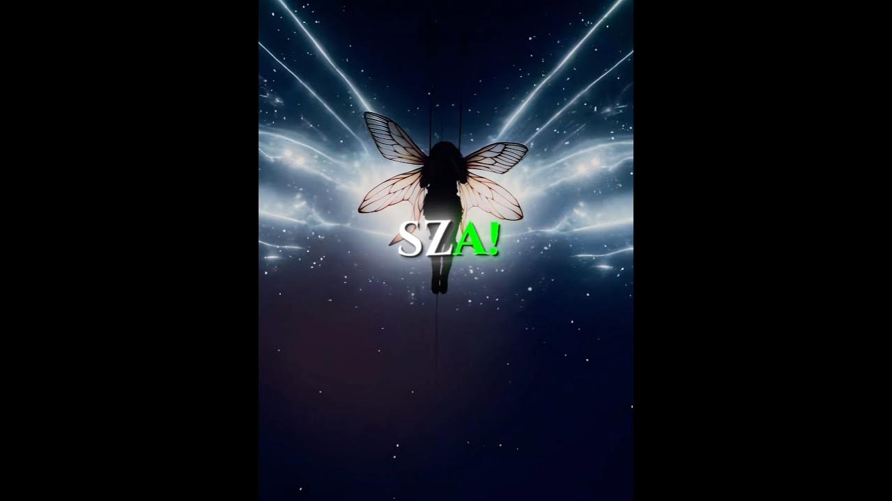 Fans sing Nobody Gets Me by SZA π€©π€ Fans sing Nobody Gets Me by SZA π€©π€