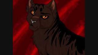 Dustpelt Read Description