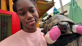 Tikas Needs Your Help Today