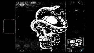 [FREE] Hard Griselda x J. Cole Boom Bap Type Beat KUNG FU