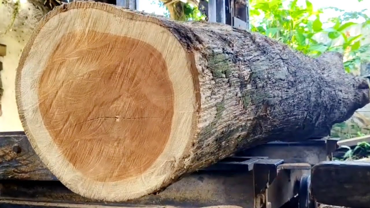 JUMBO TEAK WOOD SAWING PROCESS WITH BEAUTIFUL TEXTURE - YouTube