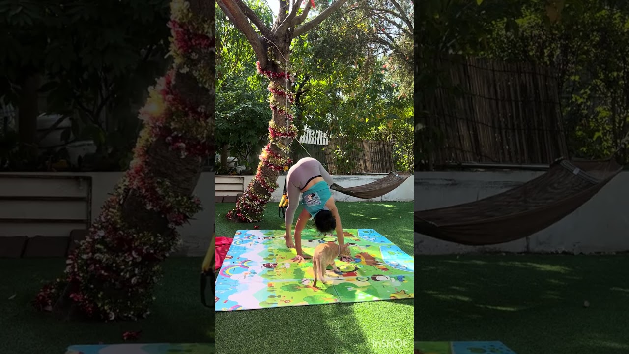 Press Up Handstand Practice  