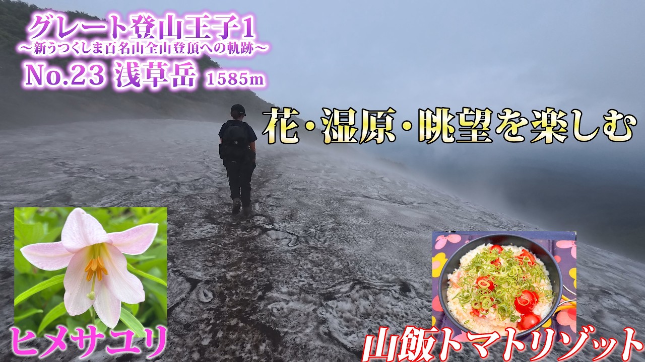 山採り　マユミ 山採り マユミ カードガチャ ｜ Z/X - Zillions of enemy X - ゼクス