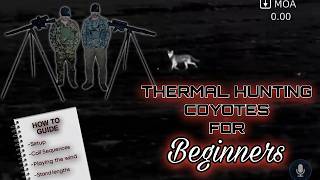 HOW TO GUIDE - THERMAL COYOTE HUNTING - For Beginners