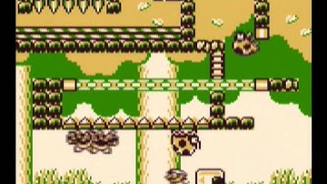 Donkey Kong (Gameboy) gameplay 2 - Forest