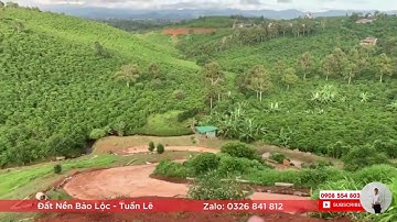 Chính chủ buông sổ 1ha1 đất nền nghỉ dưỡng Lộc Thanh Bảo Lộc