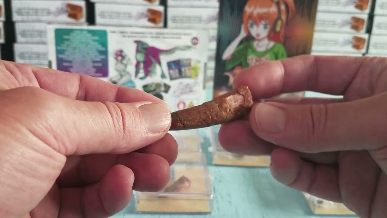 Real Spinosaurus Fossil Dinosaur Teeth! Hidden Mysterious Secret Trading Cards from Ancient Menace