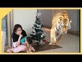 Children really want to have a pet / شفا خافت من الحيوانات !! /동물친구들