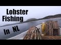 Lobster Fishing in McCallum