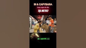Capybara ngăn kẻ xấu trên sân ga metro và cứu cô gái trước khi tàu lao vào #trending #ytshorts
