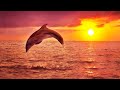 Sleep Music 24/7, Insomnia, Healing Music, Zen, Sleep Meditation, Study Music, Sleep, Relaxing Music