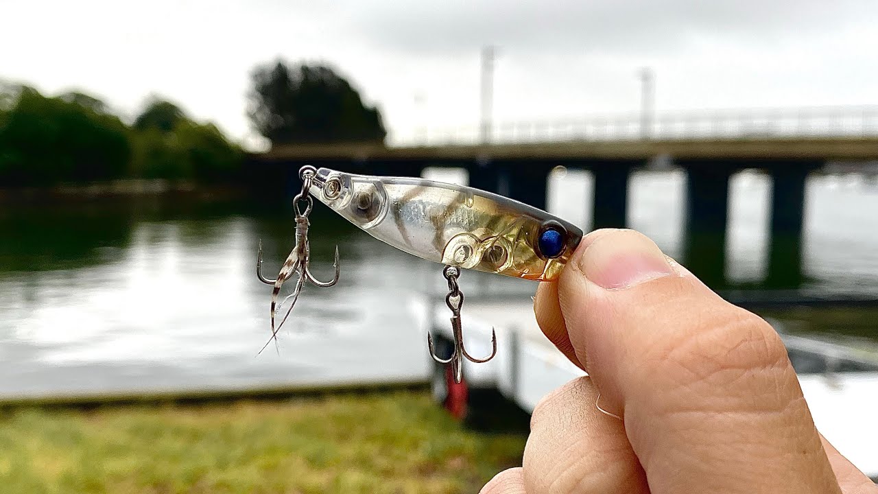 Topwater, Soft Plastics, and Blades Bream fishing sydney YouTube