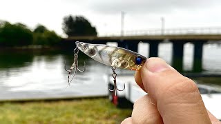 Topwater, Soft Plastics, and Blades | Bream fishing sydney