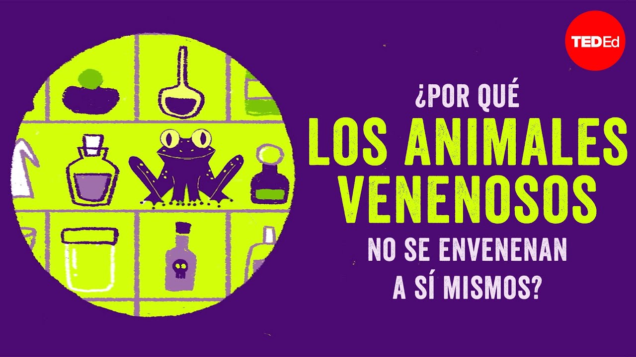 ¿Por qué los animales venenosos no se envenenan a sí mismos? - Rebecca Tarvin