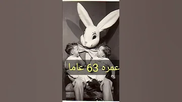 الارنب The Bad Rabbit السيء أخطر شخصية في الانترنت المظلم الديب ويب 