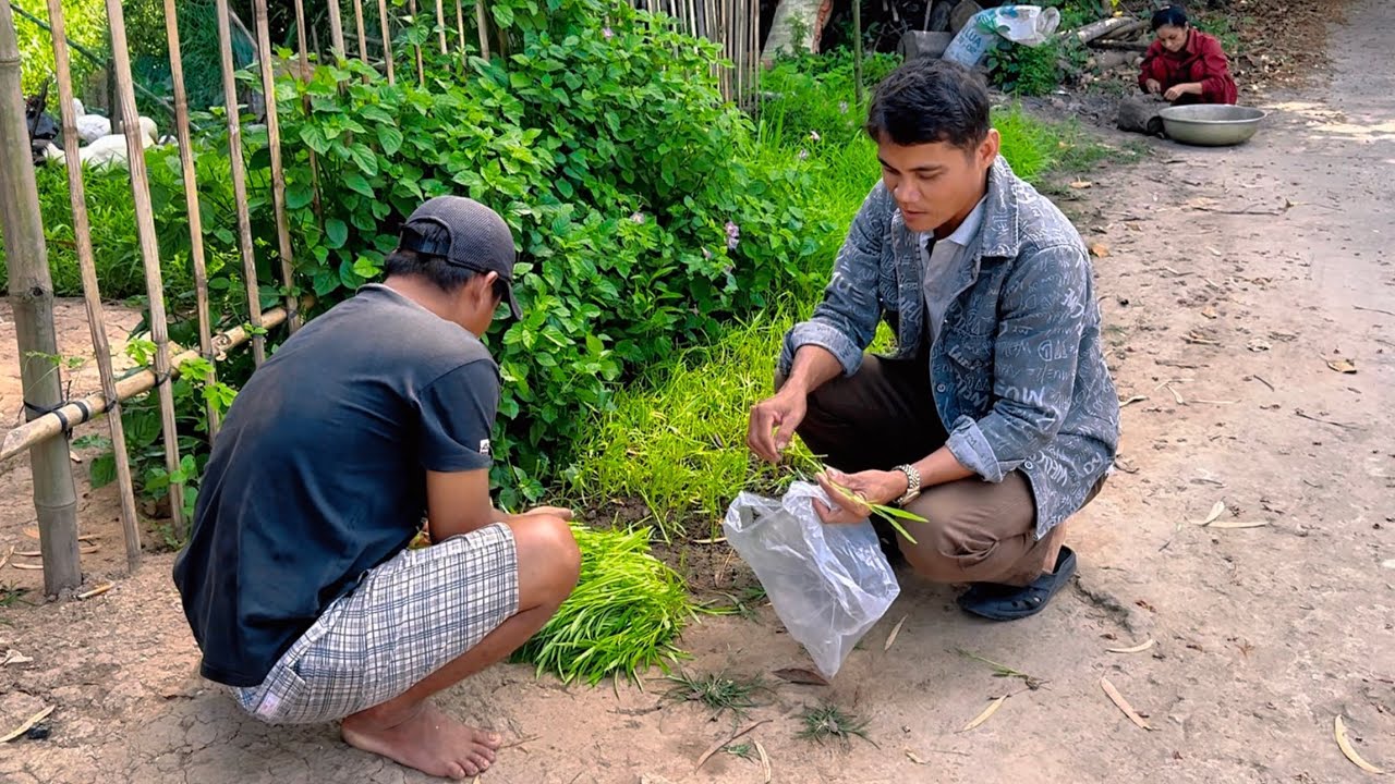 Vợ chồng Xuân Thảo rất giỏi hôm nay tặng rau sạch cho thầy rất nhiều 