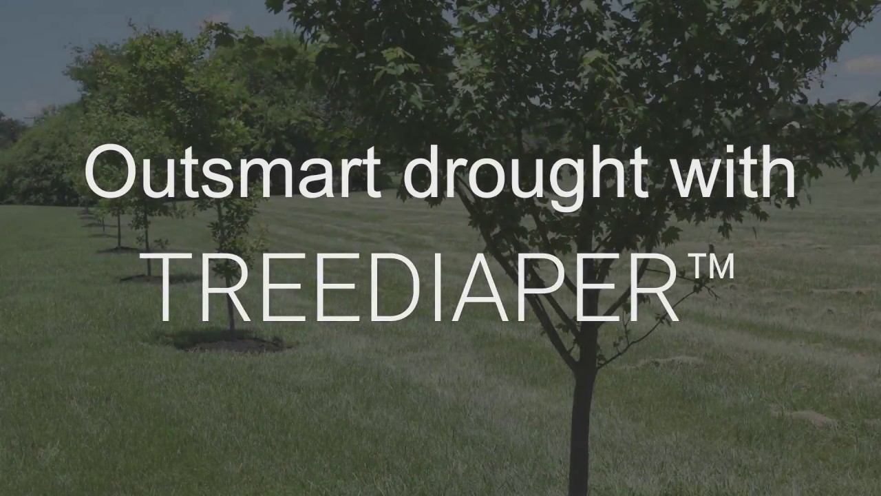 ARE YOU IN A DROUGHT OR PREPARING FOR ONE?