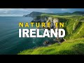 Nature in ireland best natural landscapes to visit  go travel