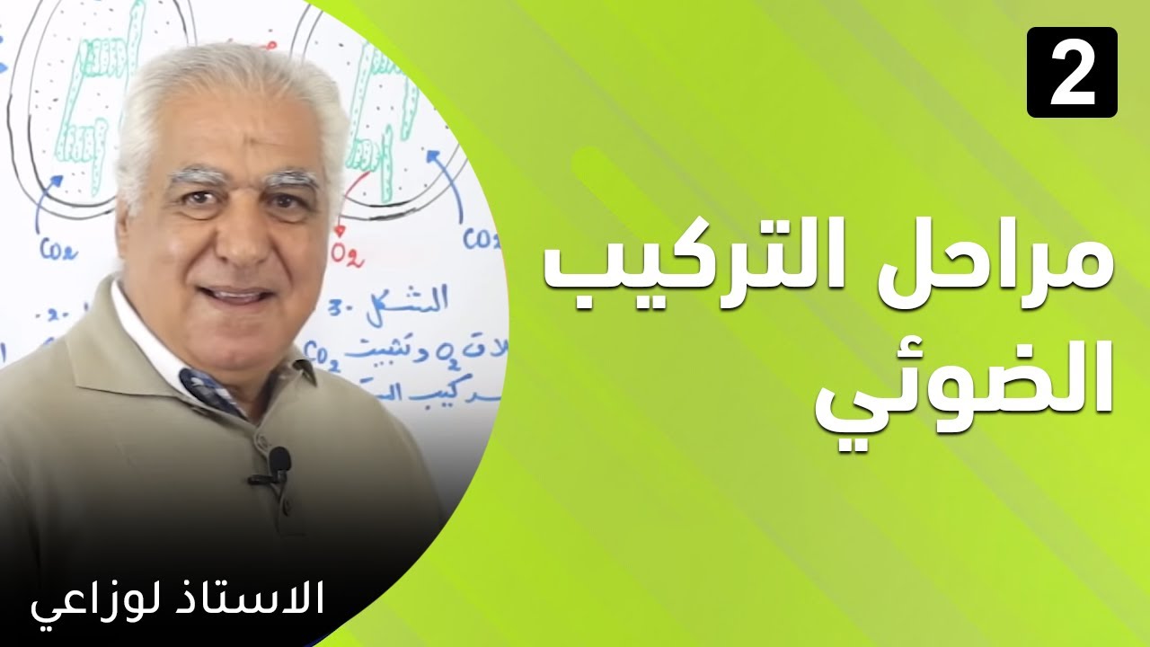 الدرس الثاني :  مراحل التركيب الضوئي