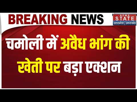 Chamoli Illegal Cannabis Cultivation: चमोली में अवैध भांग की खेती पर बड़ा एक्शन, फसल की नष्ट!