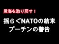 和平交渉から切り離される欧州