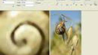 Reshade image resizer