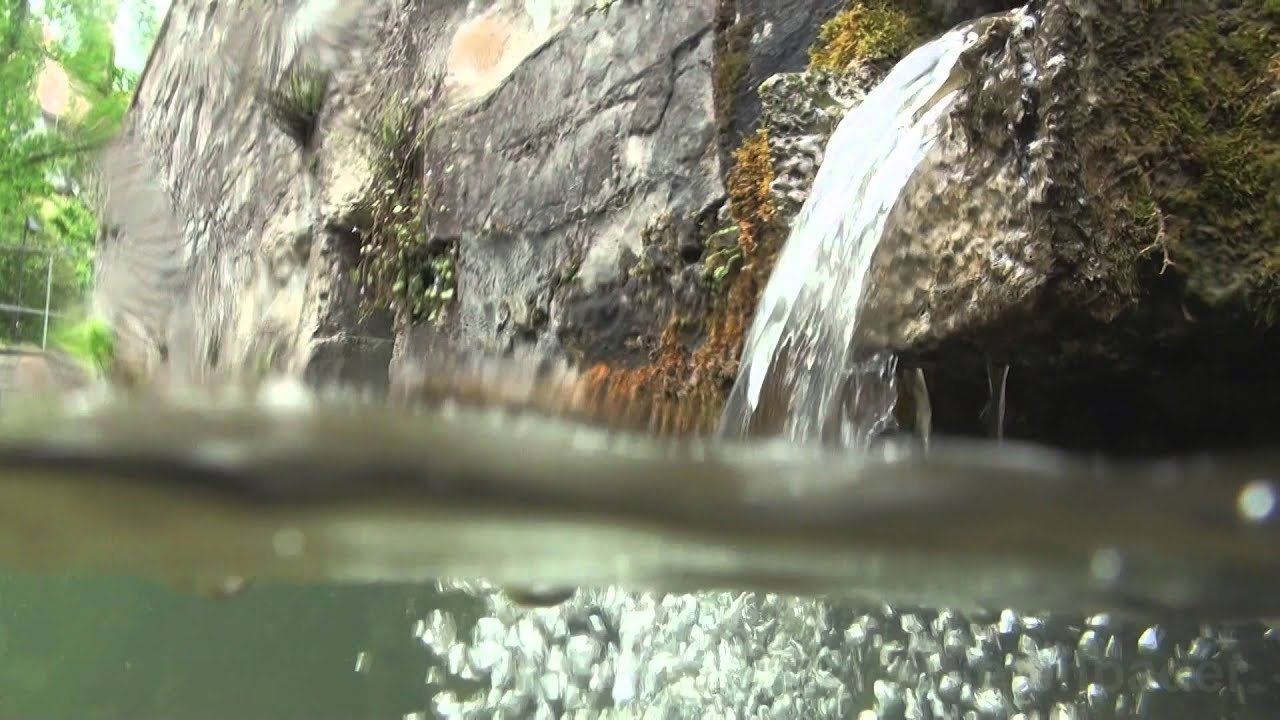 Pader und Paderquellen