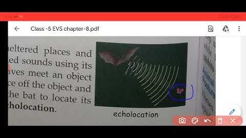 ncert class-5 subject EVS chapter 8 video 3 // searching for food