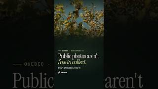 Clearview AI ruling in Quebec: public photos aren't free to collect #Shorts