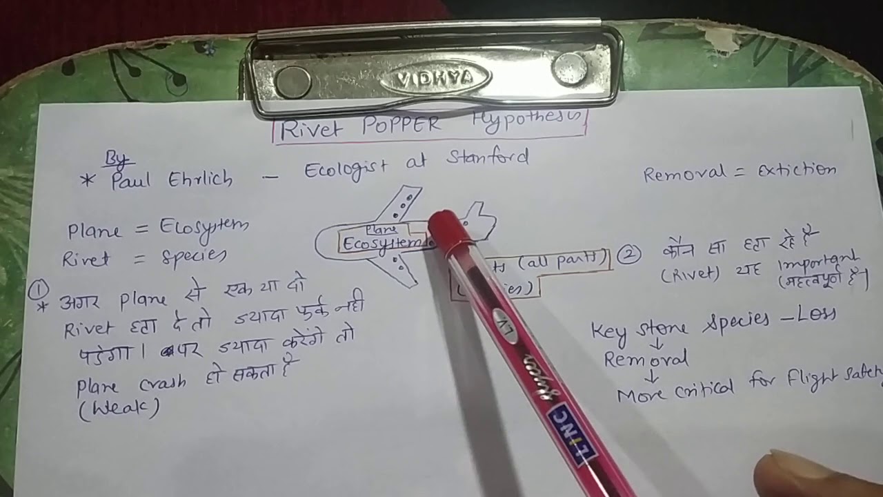 Lecture 7 Biodiversity rivet popper hypothesis NCERT by Dr Supreet