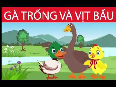 Truyện Mầm non: Gà trống và vịt bầu